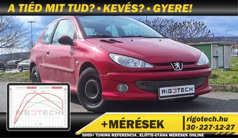 peugeot 206 1-4-di 68 tuning peugeot 206 1-4-di 68 tuning