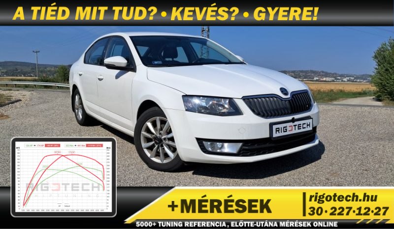 skoda octavia 1-6-cr 110 tuning