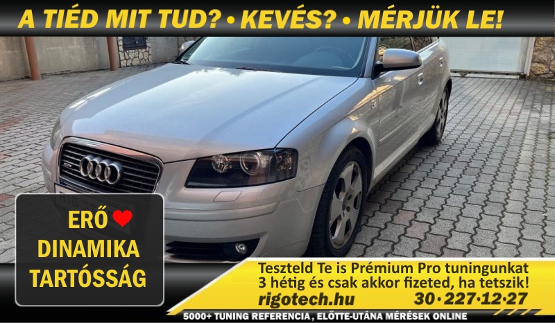 audi a3 3-2-benzin 250 tuning audi a3 3-2-benzin 250 tuning