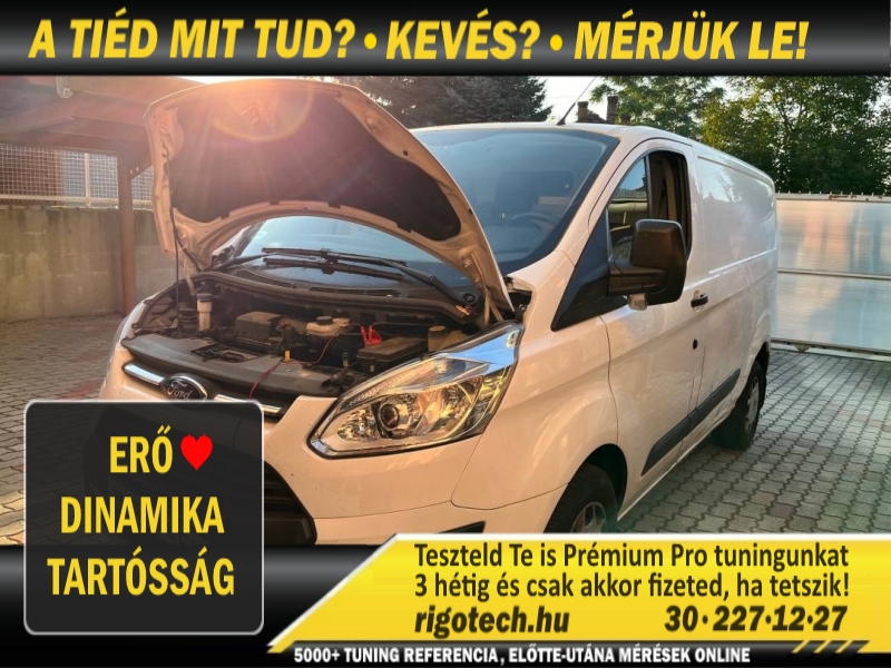 ford tourneo custom 2-2-dci 125 tuning