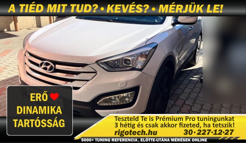 hyundai santa fe 2-2-cr 197 tuning
