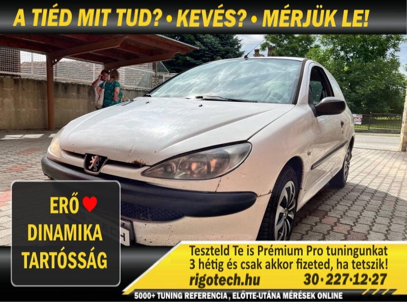 peugeot 206 1-4-di 68 tuning peugeot 206 1-4-di 68 tuning