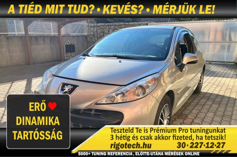 peugeot 207 1-6-benzin 120 tuning