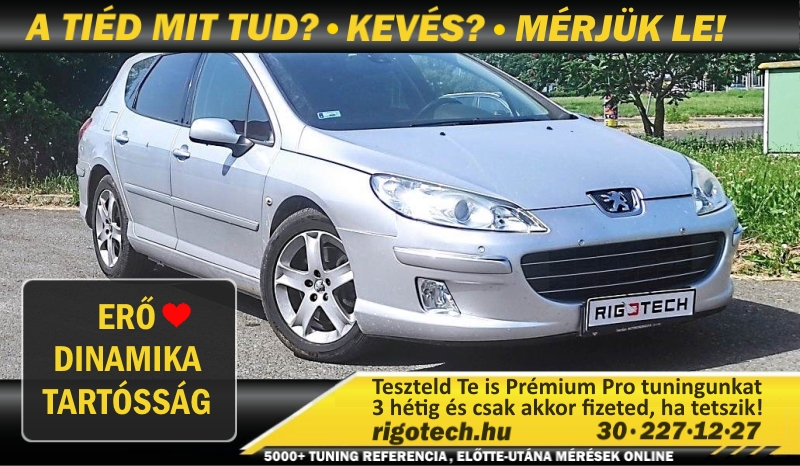 peugeot 407 2-2-di 170 tuning