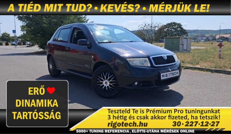 skoda fabia 1-4-benzin 100 tuning