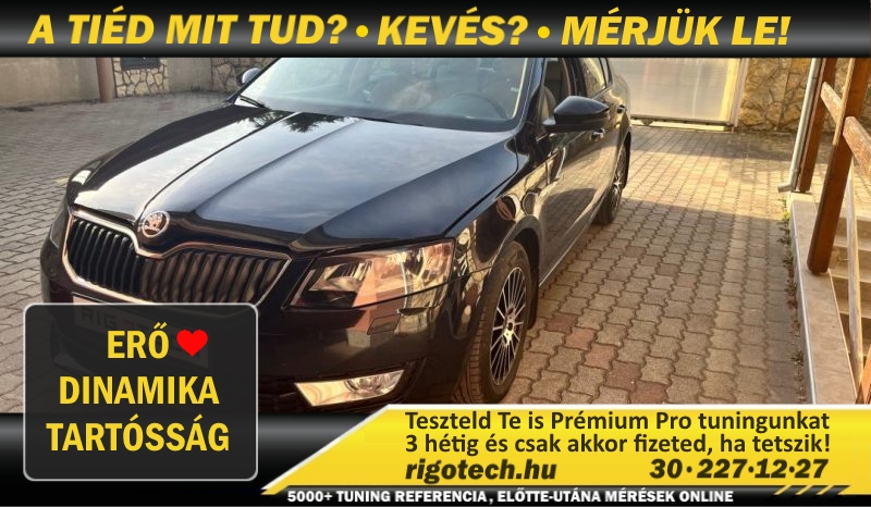 skoda octavia 1-6-cr 110 tuning