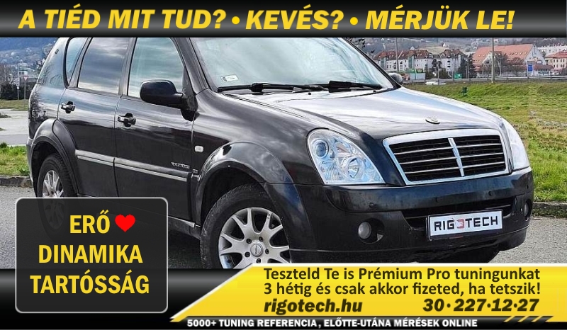 ssangyong rexton di 163 tuning