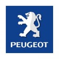 peugeot-806-tuning-2-0-hdi-090-chiptuning